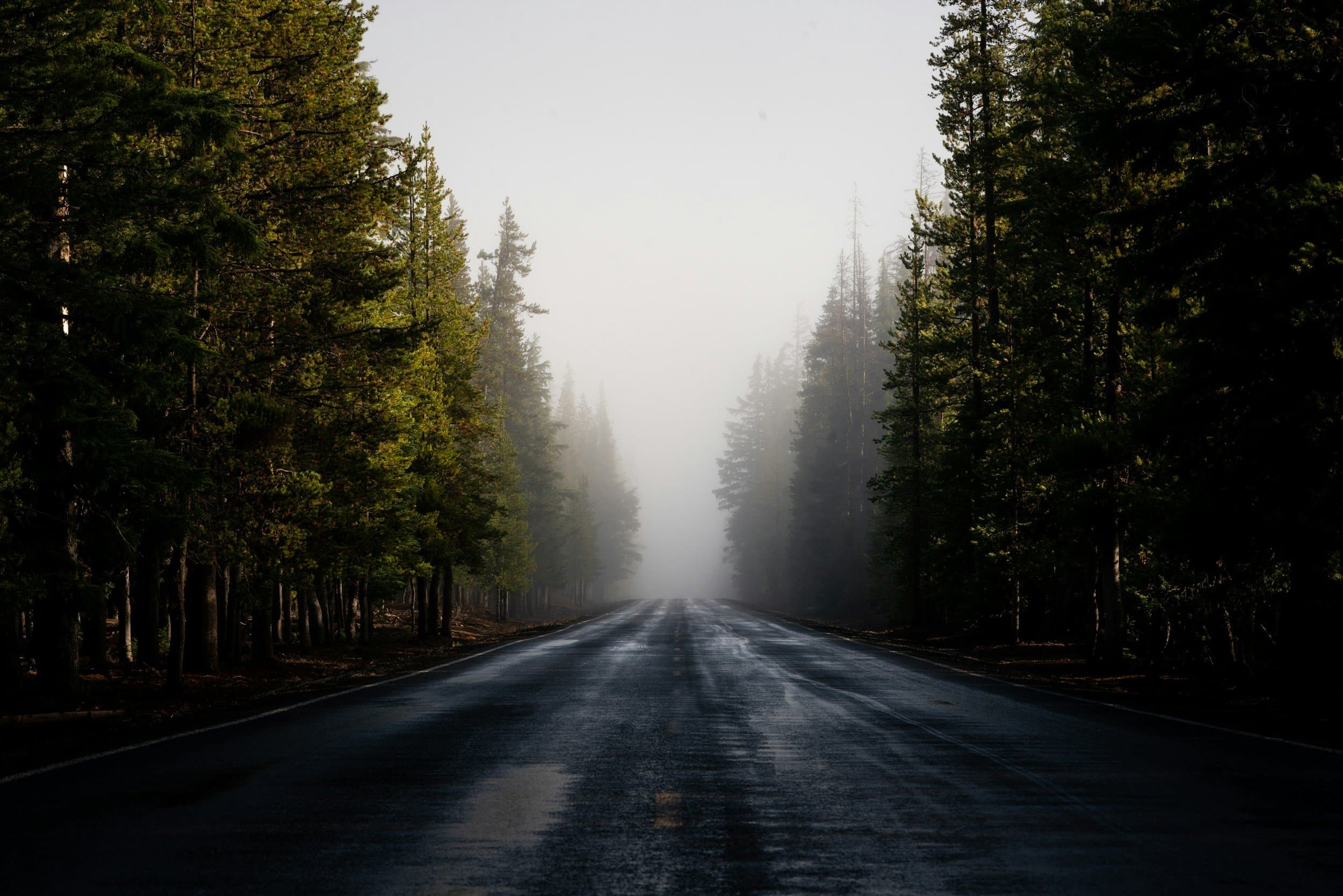 Scenic mountain road winding through Oregon forest toward Mt. Hood